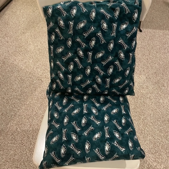 Philadelphia Eagles throw pillows custom made - Picture 2 of 2